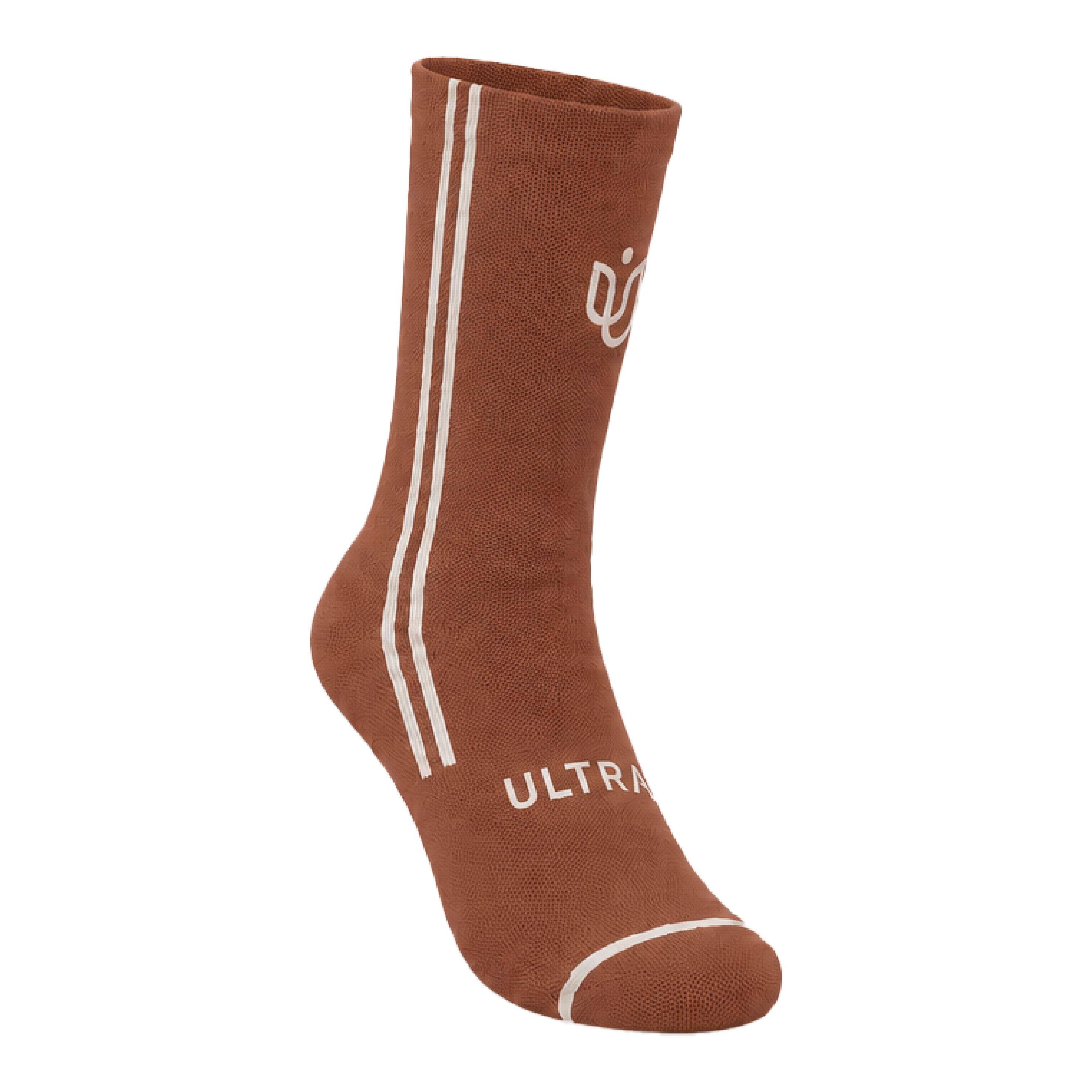 Terra Stripe Socks