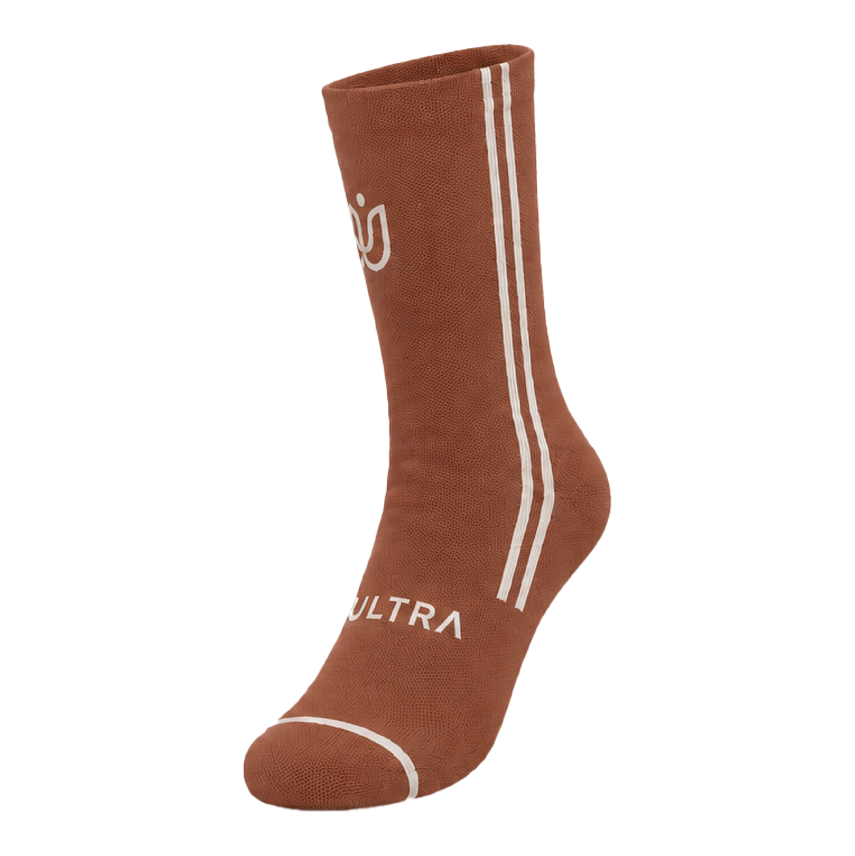 Terra Stripe Socks